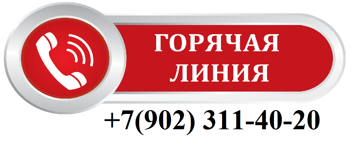 +7(902) 311 40 20